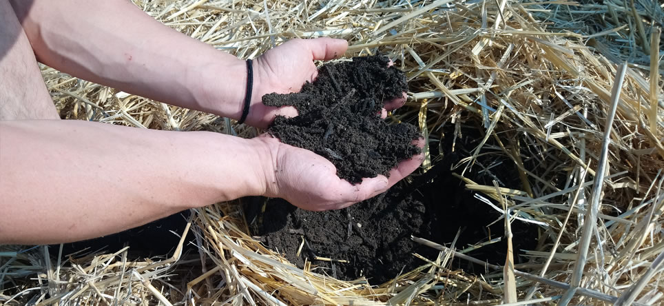 Soil Building with Starter Culture