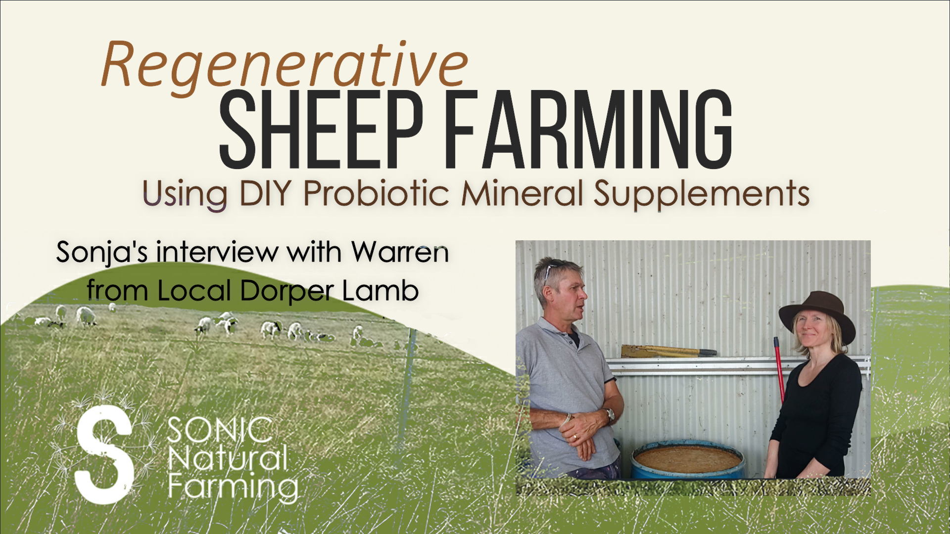 sheep farming and bio-supplements