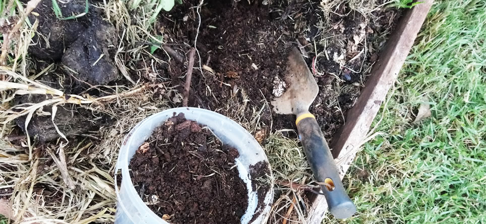 Make Compost Soil