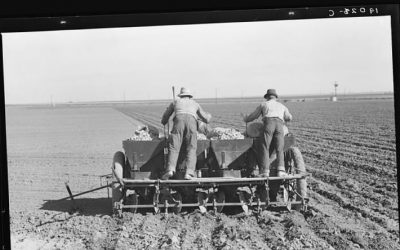 Regenerative Agriculture Australia: Benefits and Best Practices