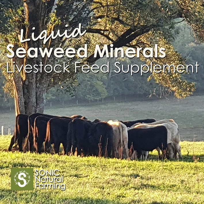 Liquid Seaweed Feed Supplement