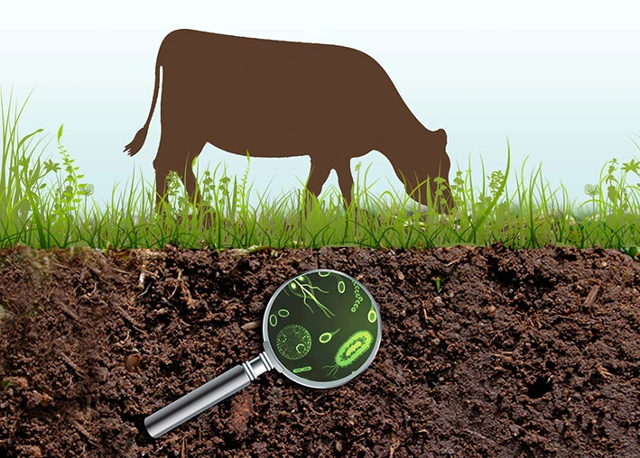 Biological Fertiliser and Natural Farming
