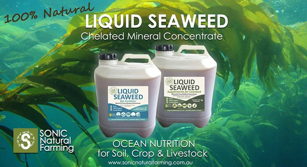 Liquid Seaweed Fertiliser and Feed Supplement