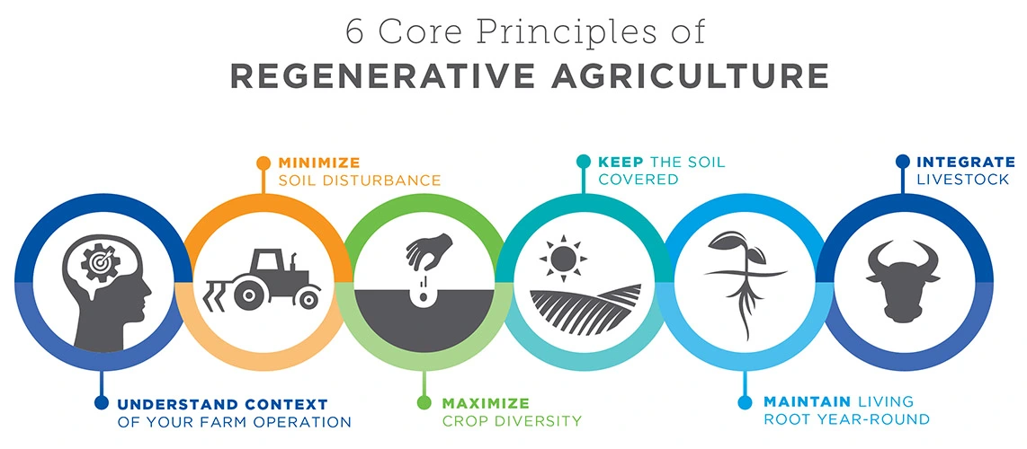 Regenerative agriculture principles