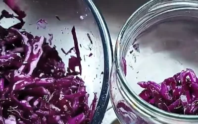 Lacto-Fermentation Vs Vinegar Pickling