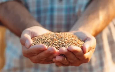 Biological Seed Treatment: Benefits and Methods