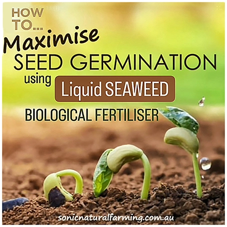 Boost Seed Germination