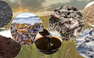 Top 7 Time-Tested Organic Fertilisers for Any Australian Farm