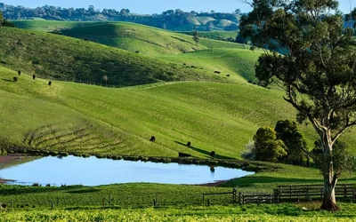 Top 10 Strategies for Efficient Water Management on Australian Farms
