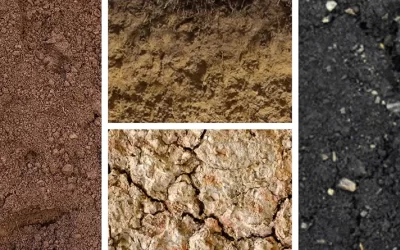Tailoring Organic Fertilisers for Different Soil Types in Australia