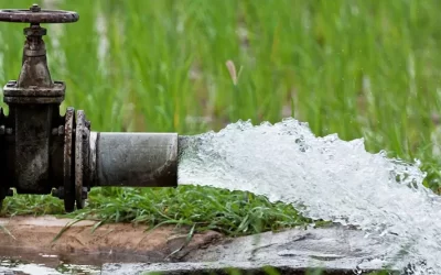 How Water Quality Can Limit Fertiliser Efficiency on Australian Farms