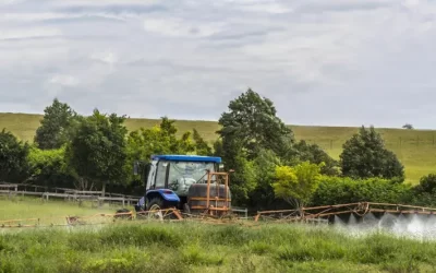 Seaweed Biofertiliser Uses In Regenerative Farming Systems, Australia