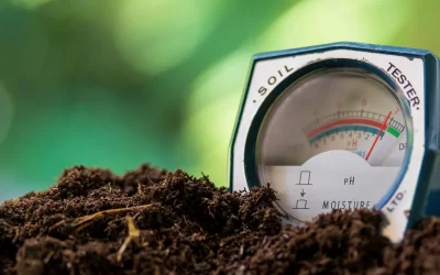 Adjusting Soil pH On Australian Farms (And Why Microbes Matter)