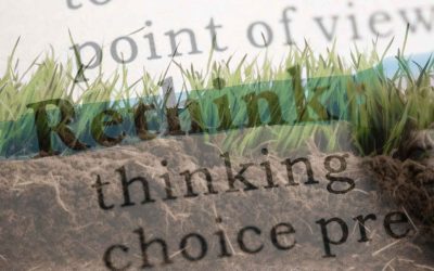 Rethinking Soil Fertility: The True Meaning of Fertiliser