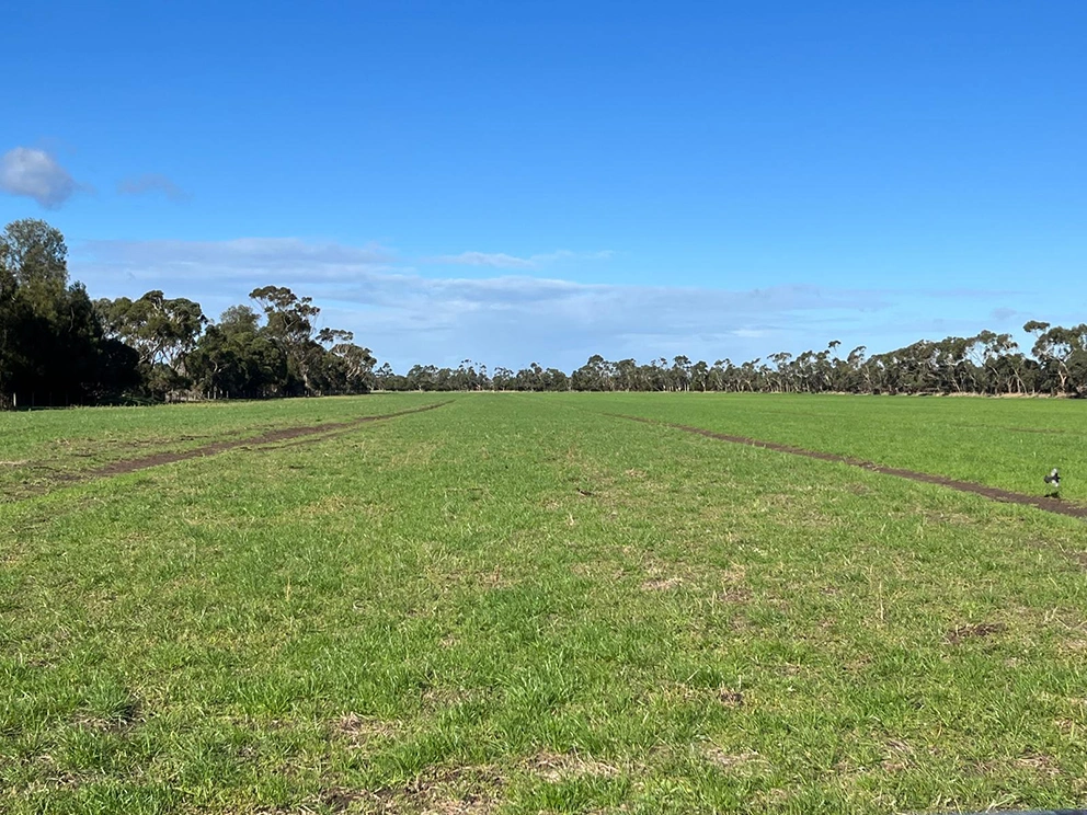 Cattle farm Victoria, Dec 2022 Cattle farm Victoria, Dec 2022