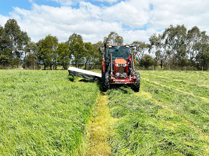 Cattle Farm Victoria silage production Cattle Farm Victoria silage production