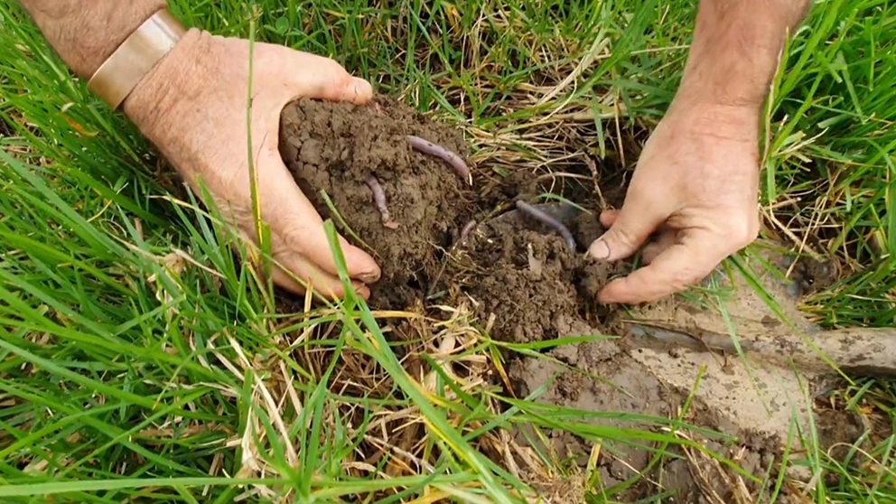 Soil Health, Cattle Farmer, Australia