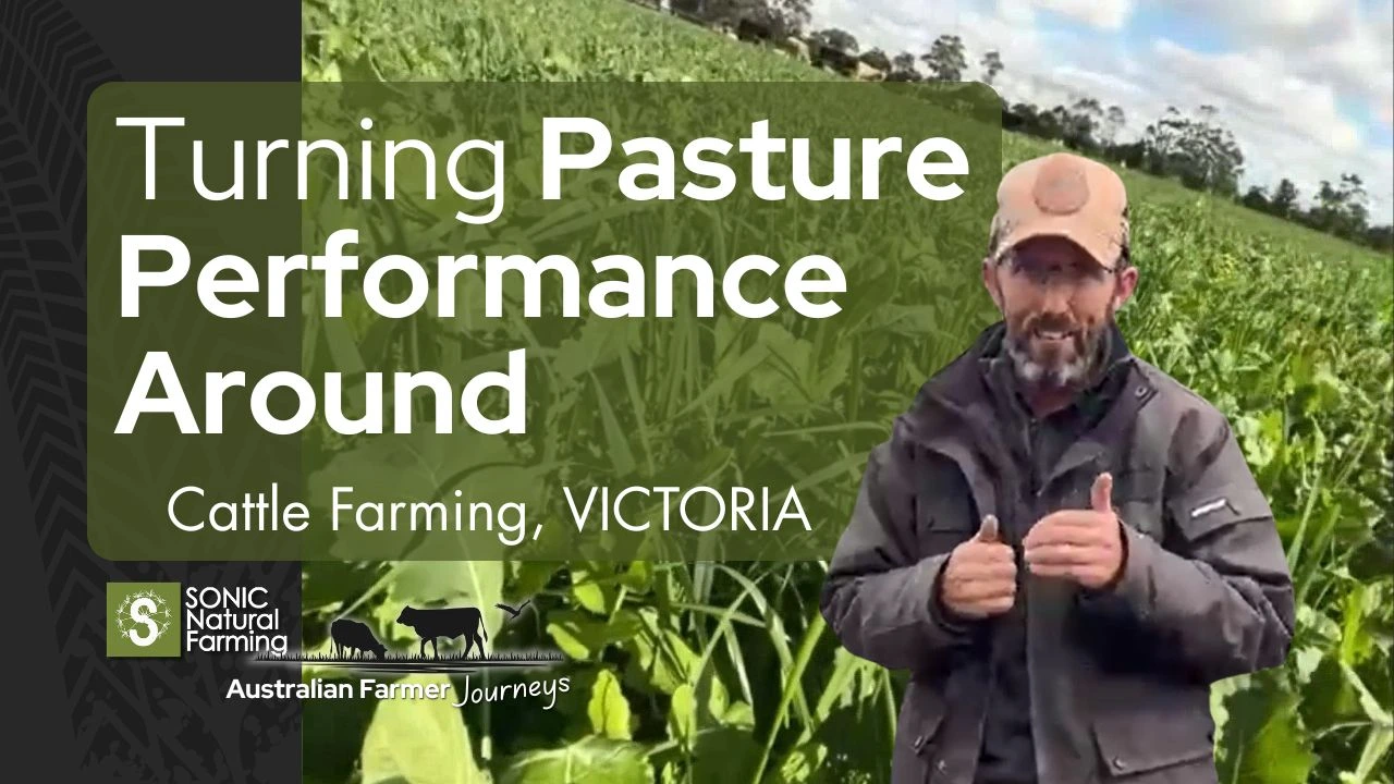 Beef Cattle Farm Case Study, Victoria, Australia