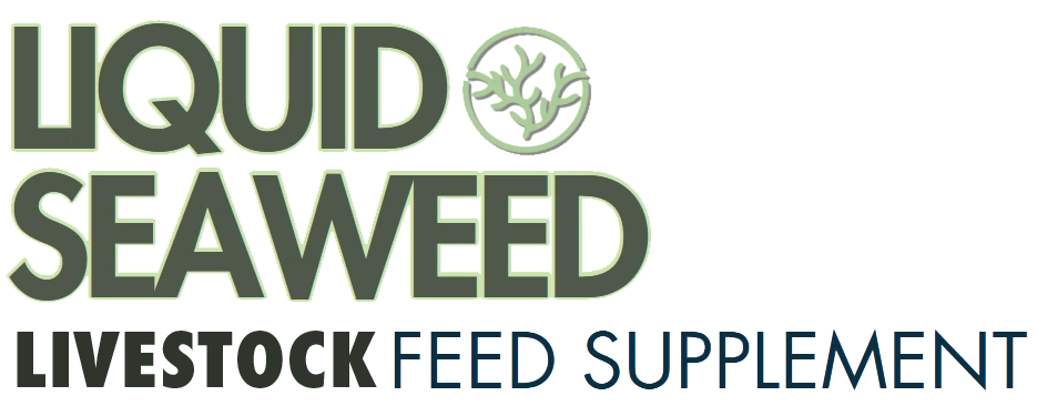 Liquid Seaweed Livestock Feed Supplement
